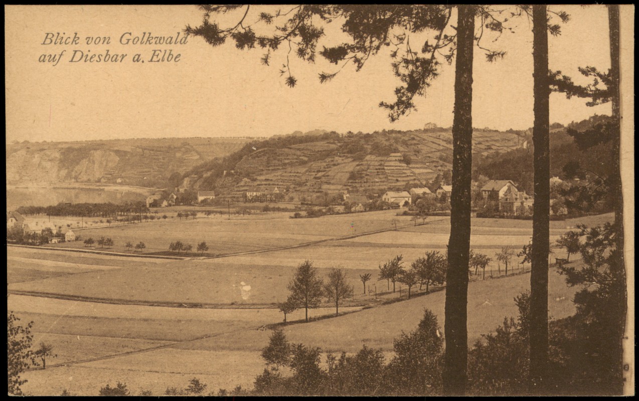 vergrößern: Bildseite historische Ansichtskarte von 1915: Blick von Golkwaldauf auf die Stadt:: Diesbar (Elbe)-Diesbar-Seußlitz-Nünchritz (Elbe)