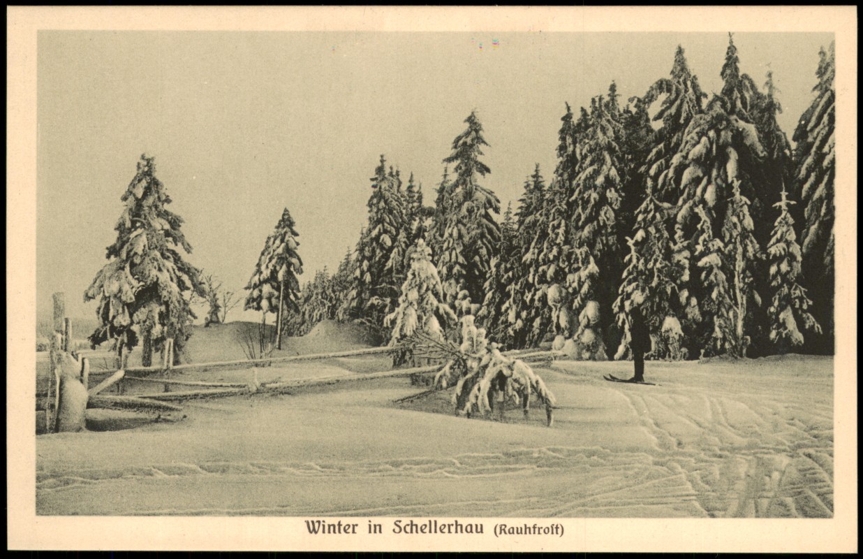 zoom: Image side vintage Postcard from 1914: Skifahrer am Waldesrand Winter:: Schellerhau-Altenberg (Saxony)