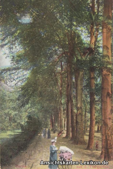 vergrößern: Bildseite historische Ansichtskarte von 1909: Partie aus dem Tiergarten, Frau mit Kinderwagen:: Tiergarten-Berlin