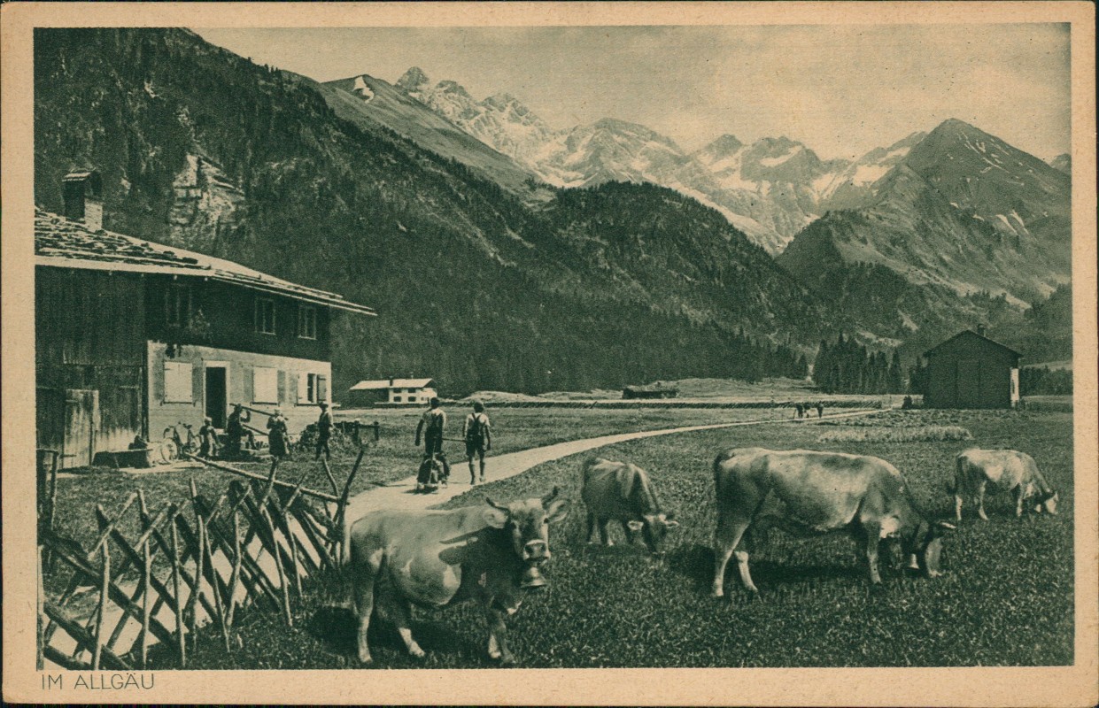 zoom: Image side vintage Postcard from 1928: Stillachpartie Bauernhof Kühe:: Birgsau-Oberstdorf