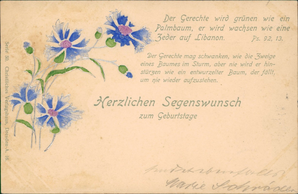 vergrößern: Bildseite historische Ansichtskarte von 1910: Kornblumen Geburtstag Der gerechte Psalm 92,13::