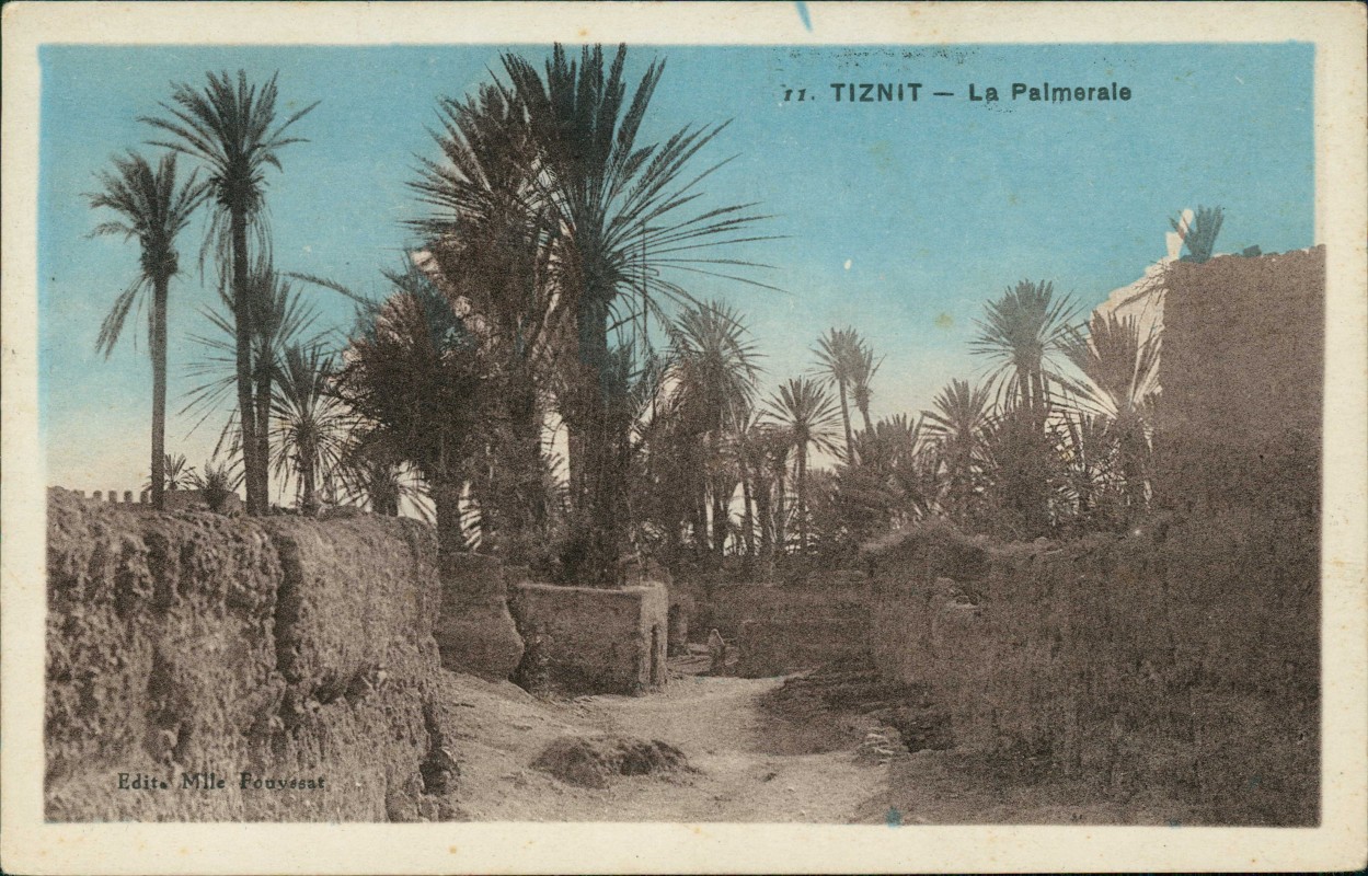 vergrößern: Bildseite historische Ansichtskarte von 1918: La Palmerale:: Tiznit