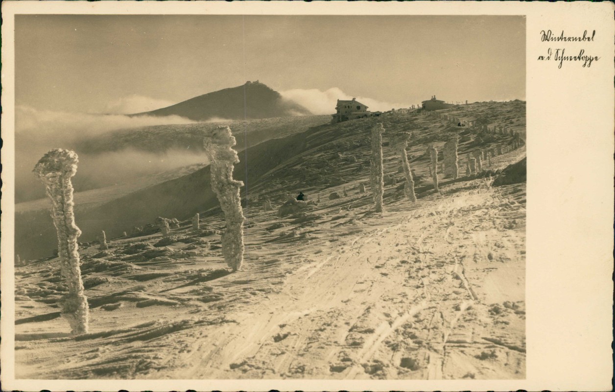 vergrößern: Bildseite historische Ansichtskarte von 1930: Prinz-Heinrich-Baude Winter:: Krummhübel