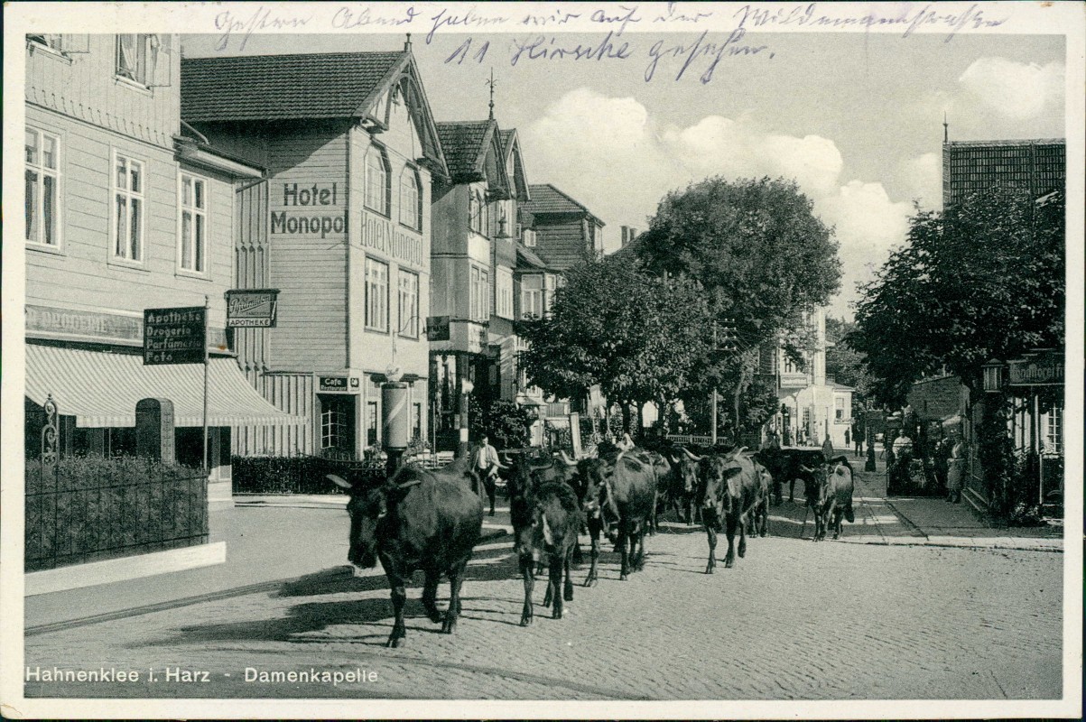 vergrößern: Bildseite historische Ansichtskarte von 1938: Hauptstraße Viehtrieb Damenkapelle:: Hahnenklee-Hahnenklee-Bockswiese-Goslar