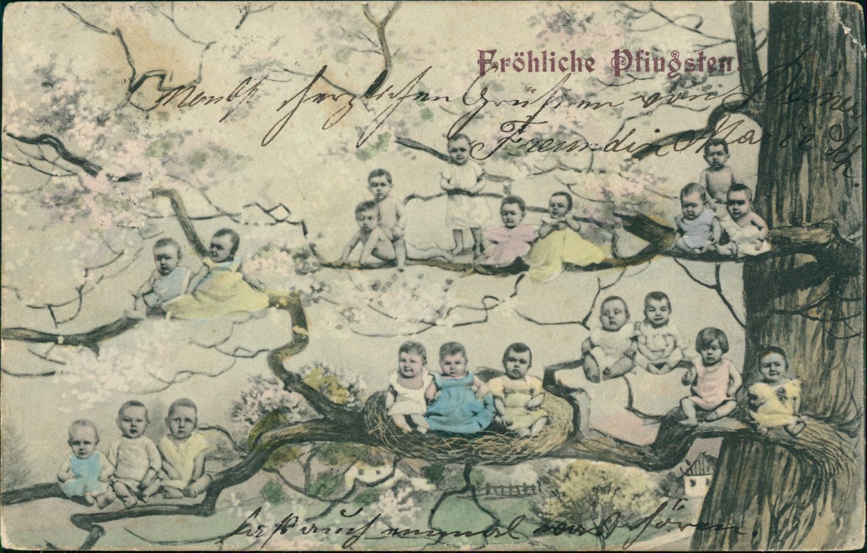 zoom: Image side vintage Postcard from 1916: Pfingsten Pentecost Babys Kleinkinder auf Ästen::