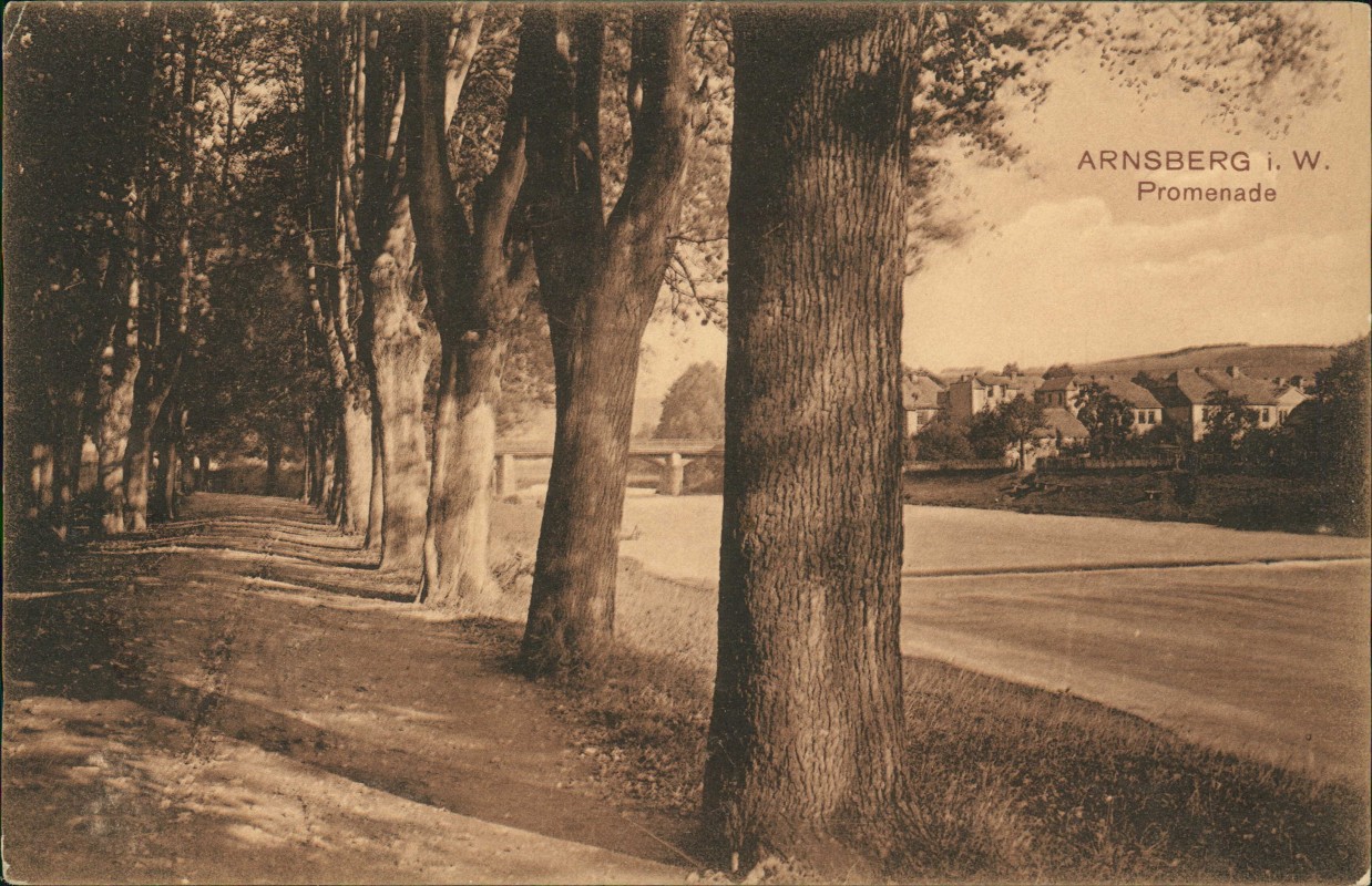zoom: Image side vintage Postcard from 1917: Promenade:: Arnsberg
