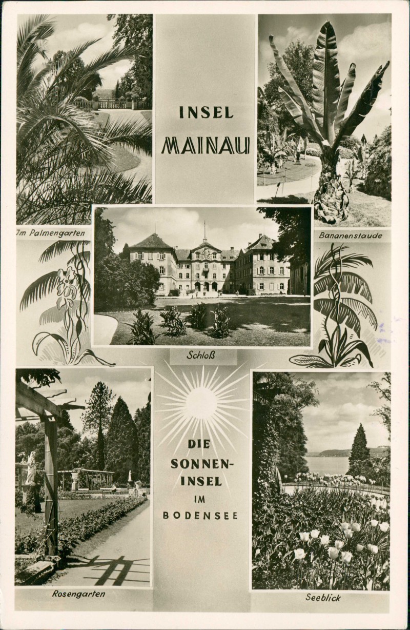 zoom: Image side vintage Postcard from 1951: MehrbildKarte Palmen Stauden - Fotokunst:: Insel Mainau-Konstanz