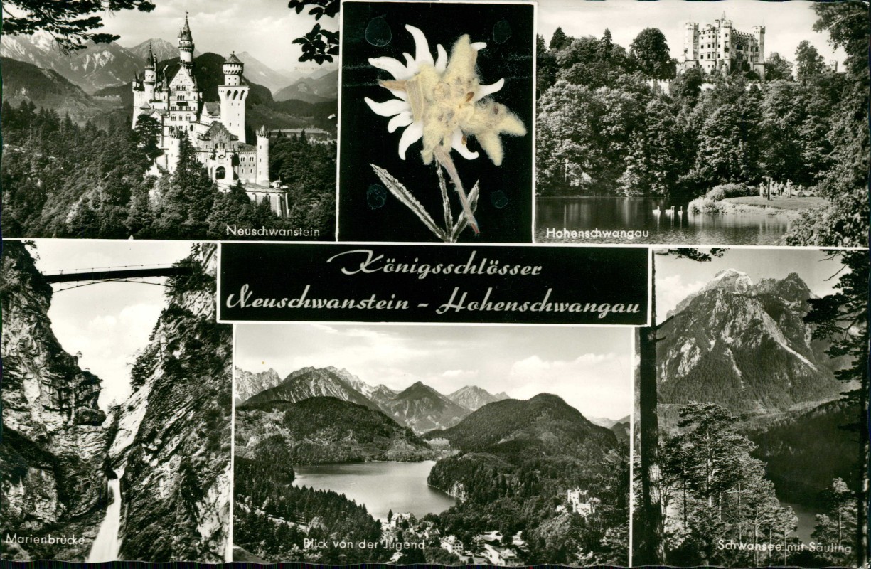 vergrößern: Bildseite historische Ansichtskarte von 1978: 2 Bild Schloss Neuschwanstein u.a. mit Edelweiss:: Schwangau