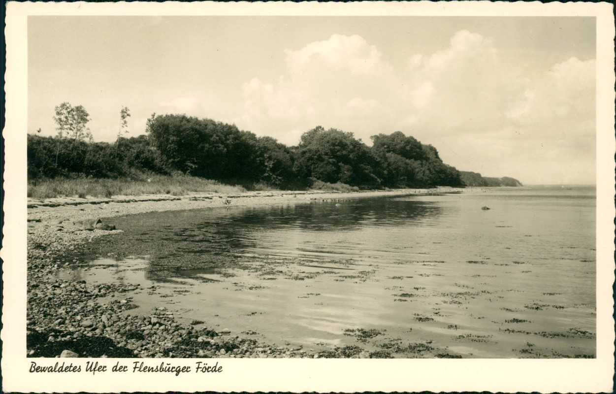 zoom: Image side vintage Postcard from 1965: Bewaldetes Ufer der Flensburger Förde:: Neukirchen-Steinbergkirche