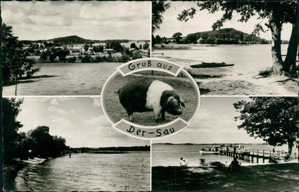 vergrößern: Bildseite historische Ansichtskarte von 1968: 5 Bild Gru0 aus der Sau:: .Niedersachsen