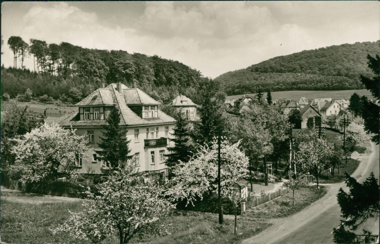 zoom: Image side vintage Postcard from 1961: Straßenpartie - Fotokarte:: Steinbergen-Rinteln