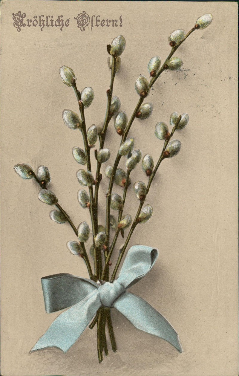 vergrößern: Bildseite historische Ansichtskarte von 1911: Ostern Easter Weidenkätzen mit Schleife gebunden::