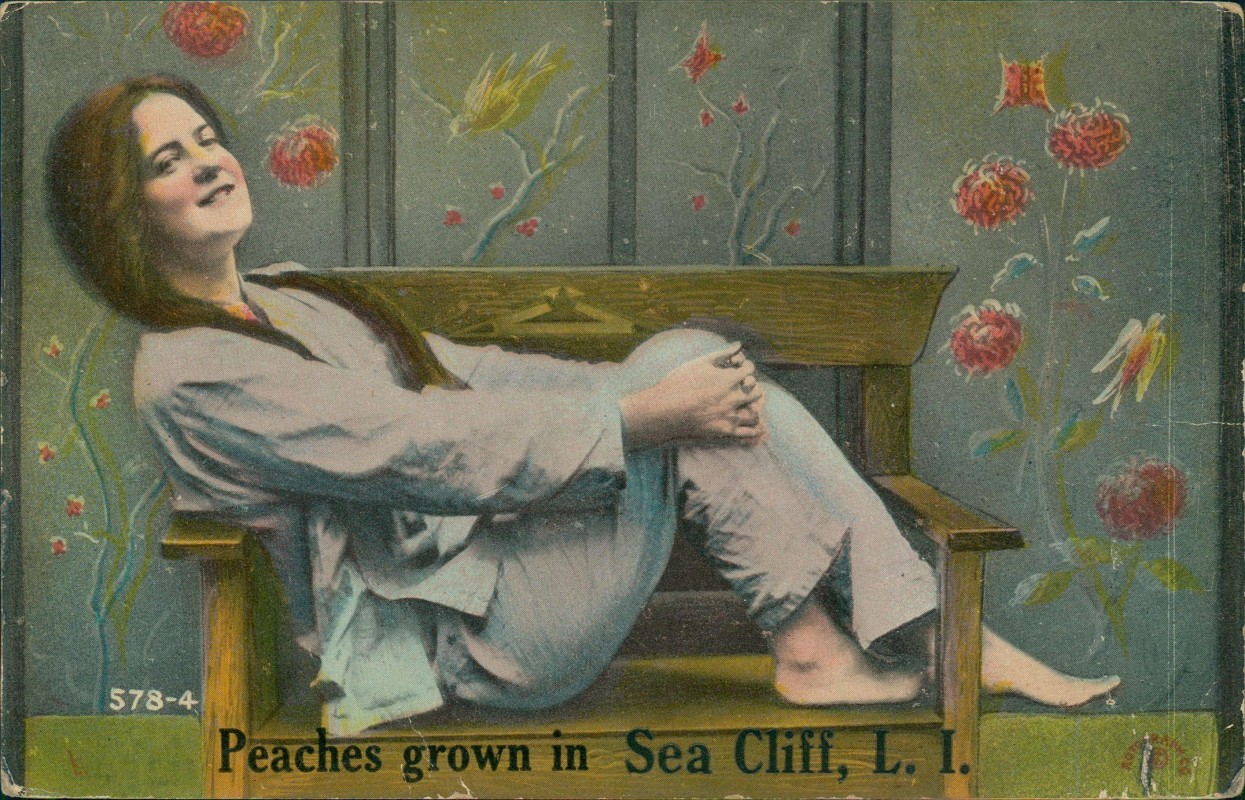 zoom: Image side vintage Postcard from 1911: Peaches grown in Sea Cliff, L. I Frau auf Bank Künstlerkarte::