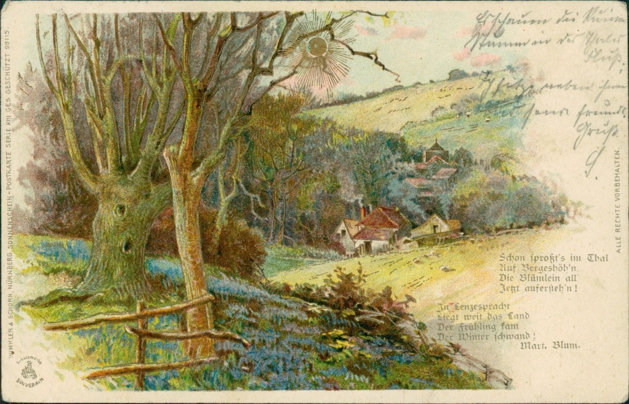 zoom: Image side vintage Postcard from 1909: Partie an der Stadt Goldsonne Sonnenschein::