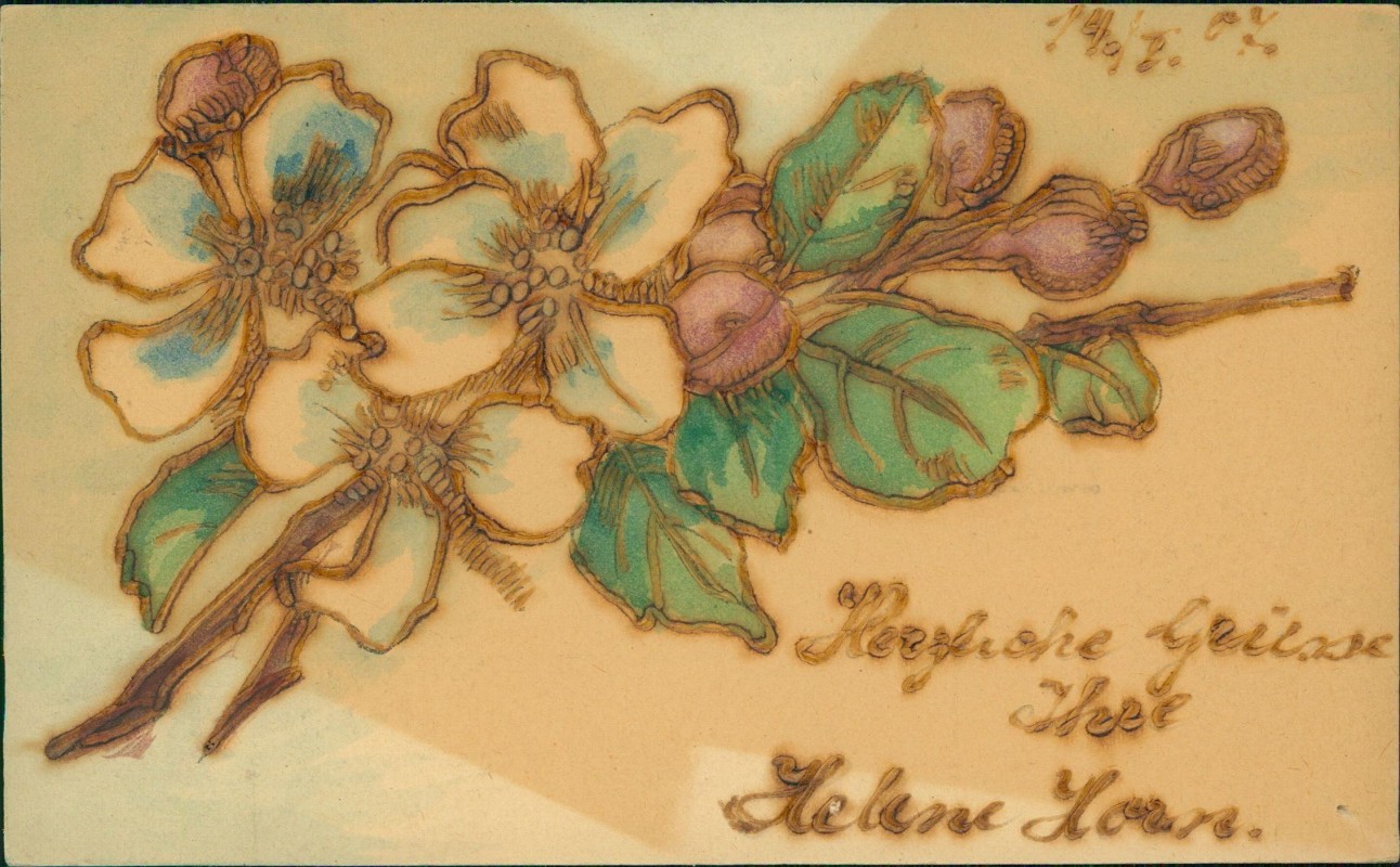 zoom: Image side vintage Postcard from 1907: Künstlerkarte handgefertigt Blumen coloriert::