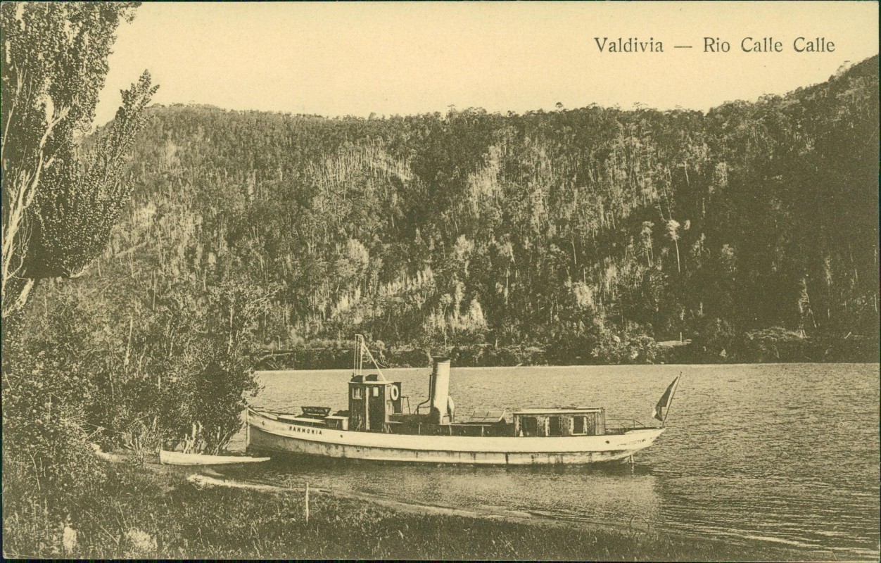 vergrößern: Bildseite historische Ansichtskarte von 1914: Rio Calle Calle Dampfer:: Valdivia