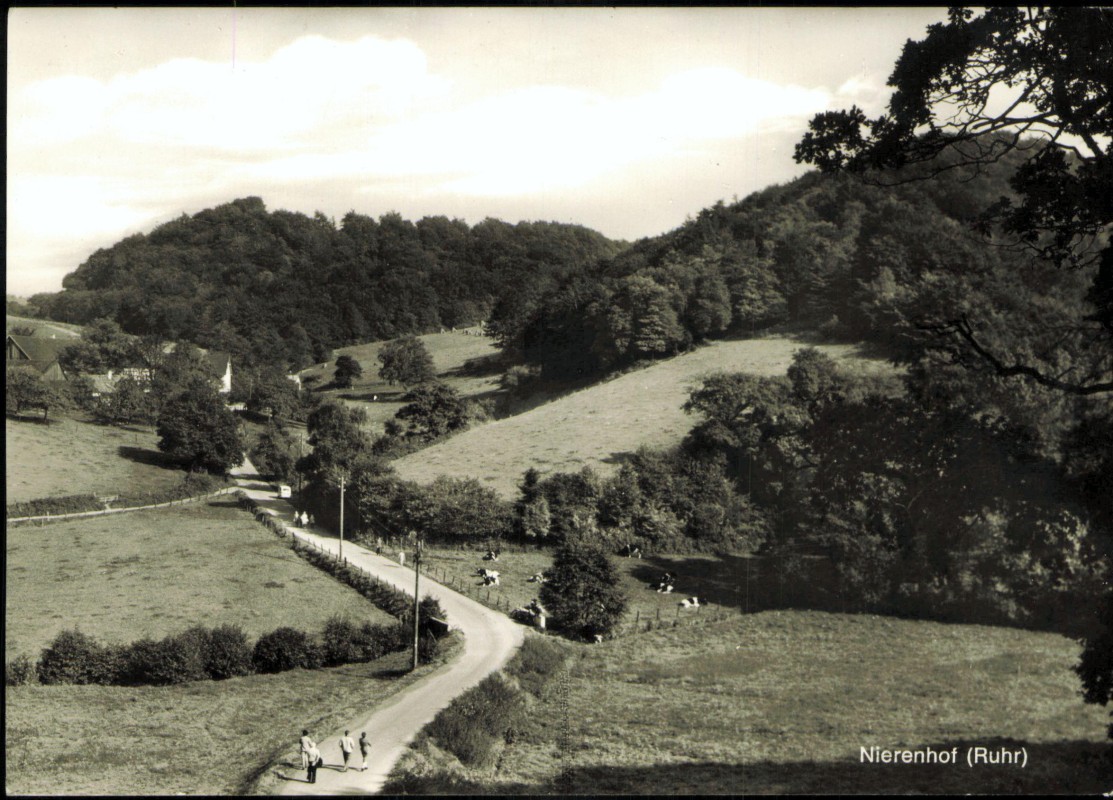 vergrößern: Bildseite historische Ansichtskarte von 1971: Straße zur Stadt - Fotokarte:: Nierenhof-Velbert