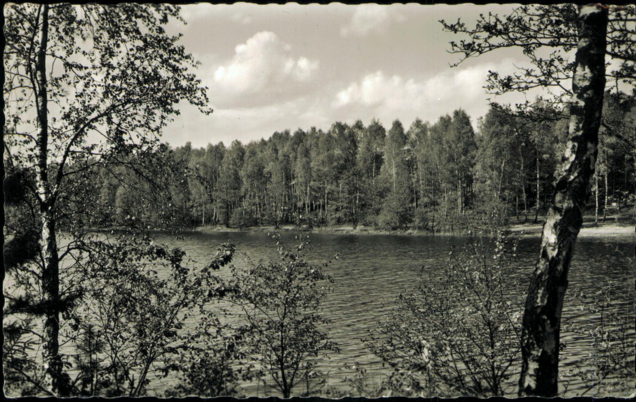 vergrößern: Bildseite historische Ansichtskarte von 1960: Partie am Pipersee:: Salem (Lauenburg)