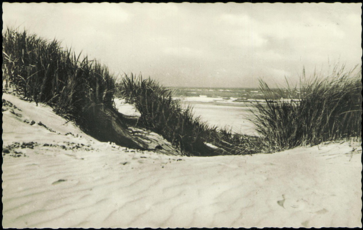 vergrößern: Bildseite historische Ansichtskarte von 1969: Strandpartie in den Dünen:: Kellenhusen (Ostsee)