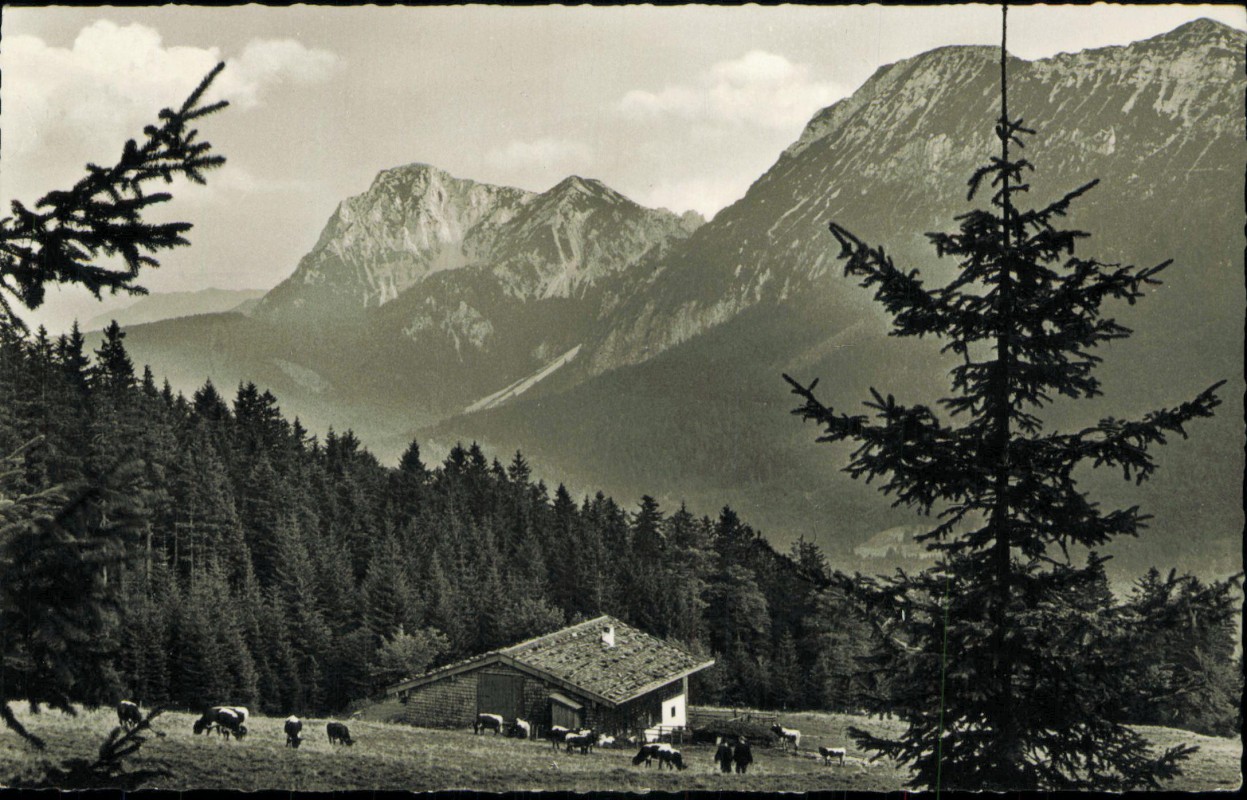 vergrößern: Bildseite historische Ansichtskarte von 1962: Bäckeralm mit Zwiesel und Hochstaufen:: Inzell Oberbayern