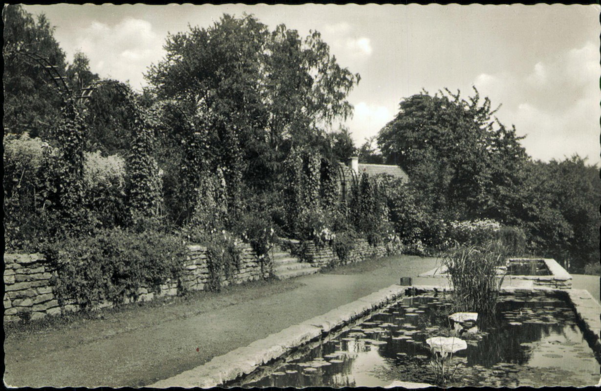 vergrößern: Bildseite historische Ansichtskarte von 1956: Botanischer Garten Teichlandschaft:: Bielefeld