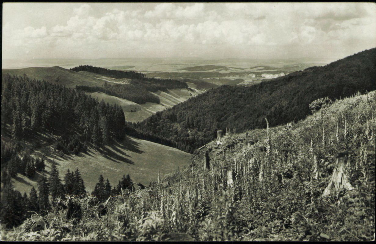 vergrößern: Bildseite historische Ansichtskarte von 1962: Blick ins Lebachtal:: Buntenbock-Clausthal-Zellerfeld