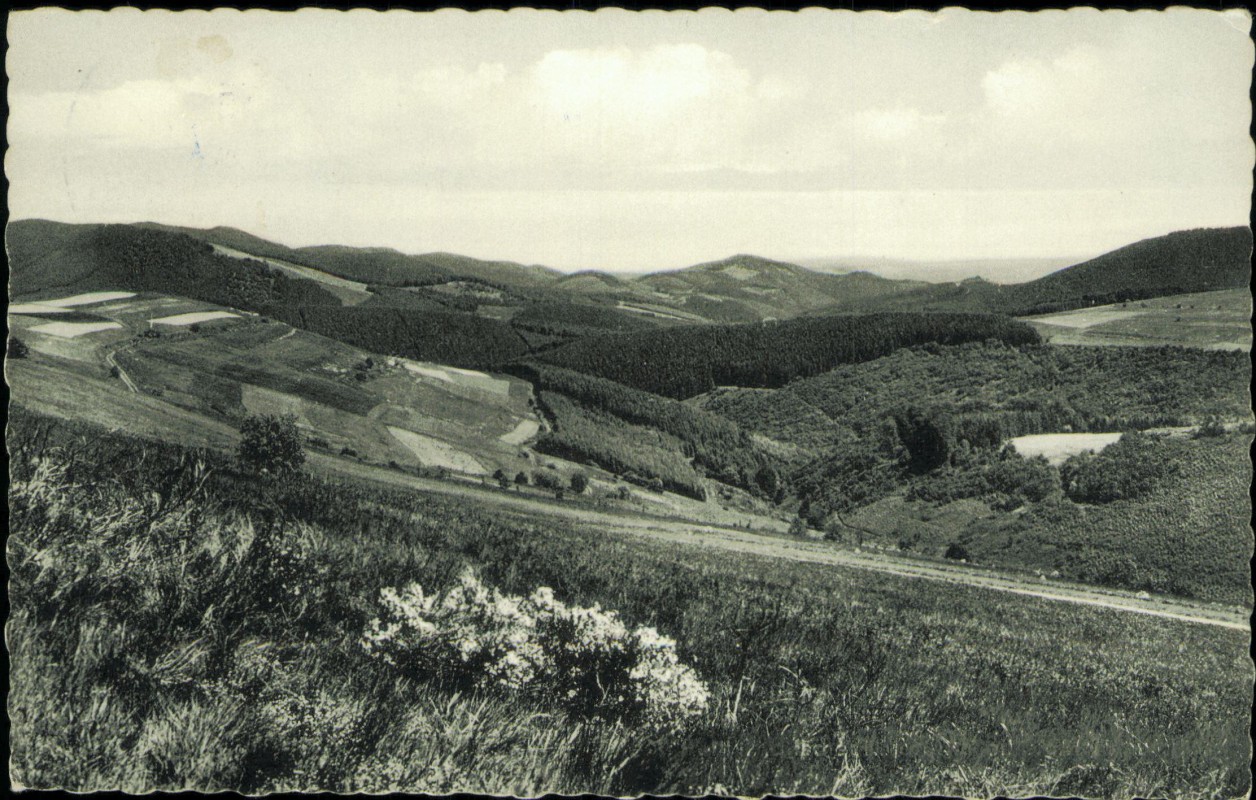 vergrößern: Bildseite historische Ansichtskarte von 1964: Hochsauerland Schmanteltal:: Winterberg