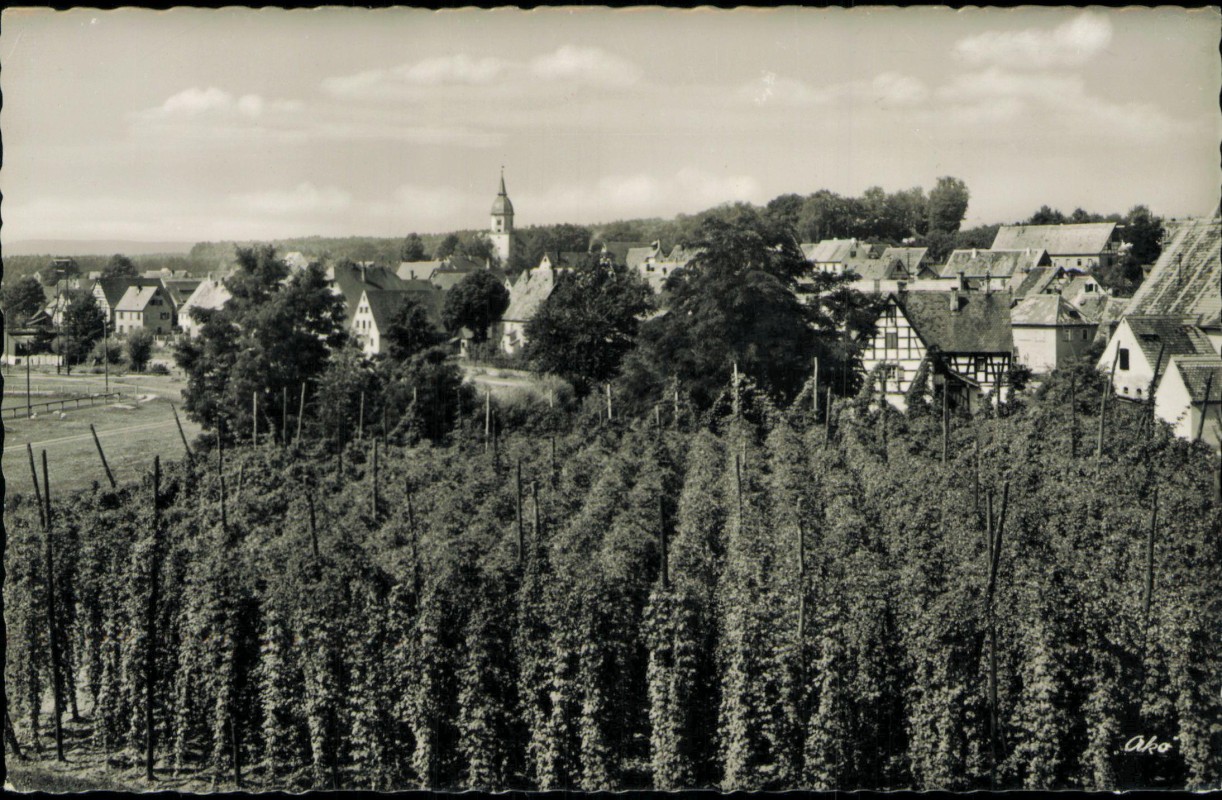 vergrößern: Bildseite historische Ansichtskarte von 1965: Hopfen und Stadt:: Georgensgmünd