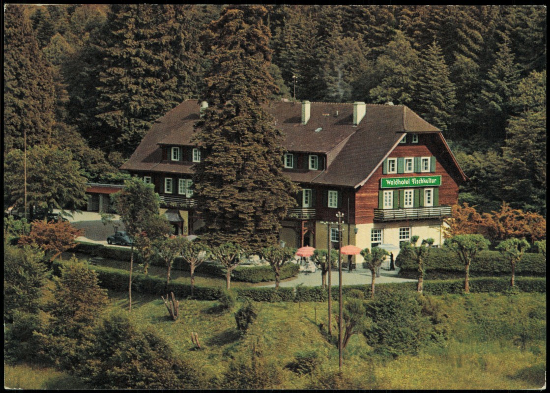 vergrößern: Bildseite historische Ansichtskarte von 1968: Partie am Waldhotel Fischkultur:: Baden-Baden