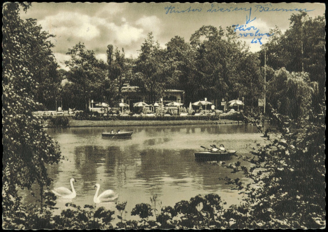 vergrößern: Bildseite historische Ansichtskarte von 1964: Kurparksee mit Kaffeehaus:: Bad Salzuflen