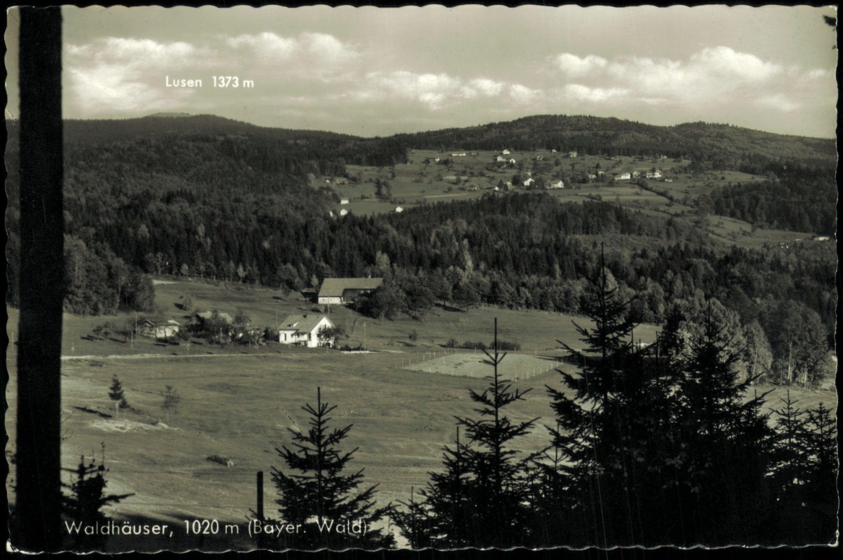vergrößern: Bildseite historische Ansichtskarte von 1963: Ortspartie mit Lusen:: Waldhäuser-Neuschönau
