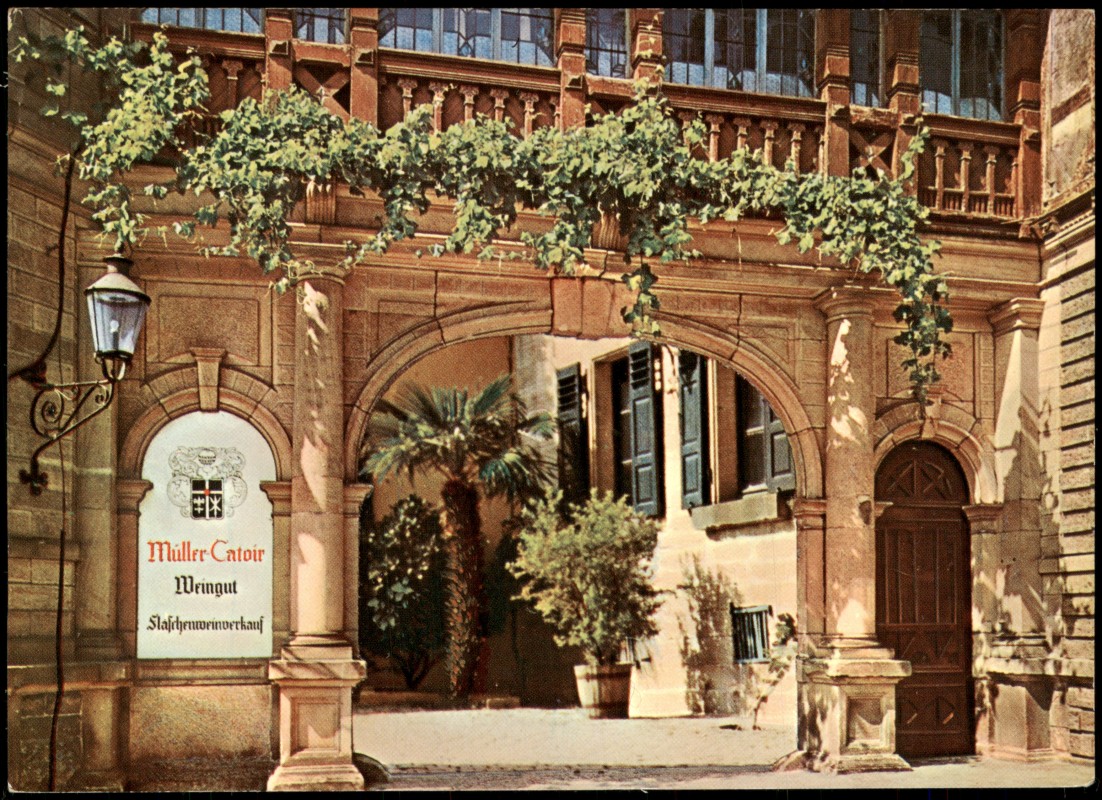 zoom: Image side vintage Postcard from 1980: Müller-Catoir Weingut Flaschenwein-Verkauf:: Gimmeldingen-Neustadt an der Haardt