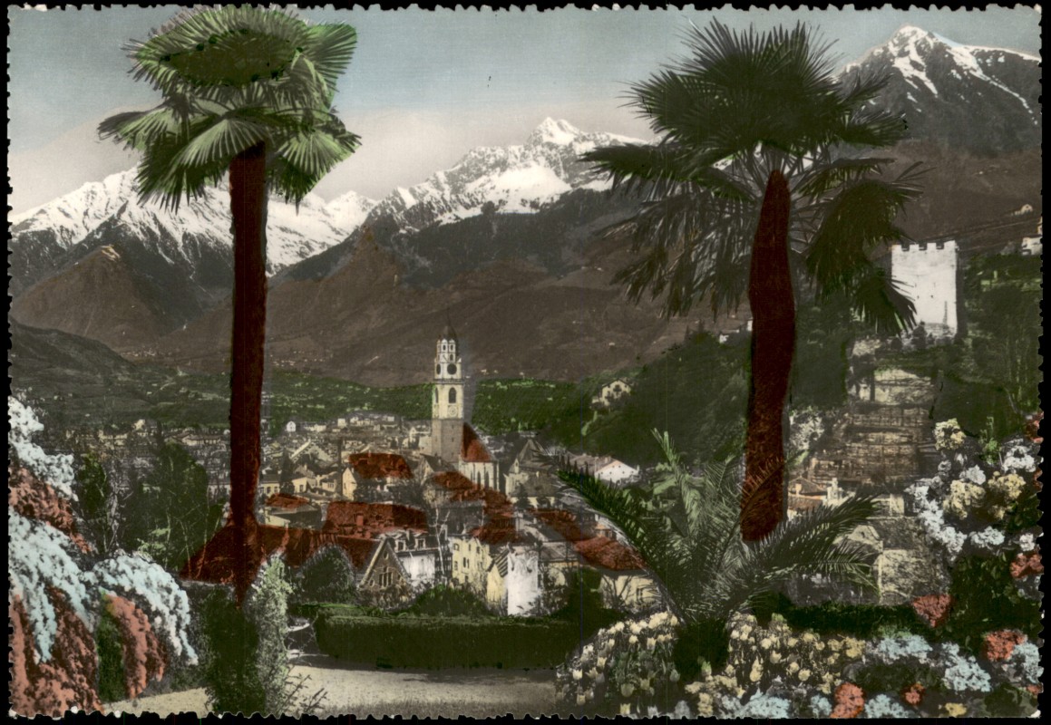 vergrößern: Bildseite historische Ansichtskarte von 1960: Panorama-Ansicht Palmen & Berge:: Meran