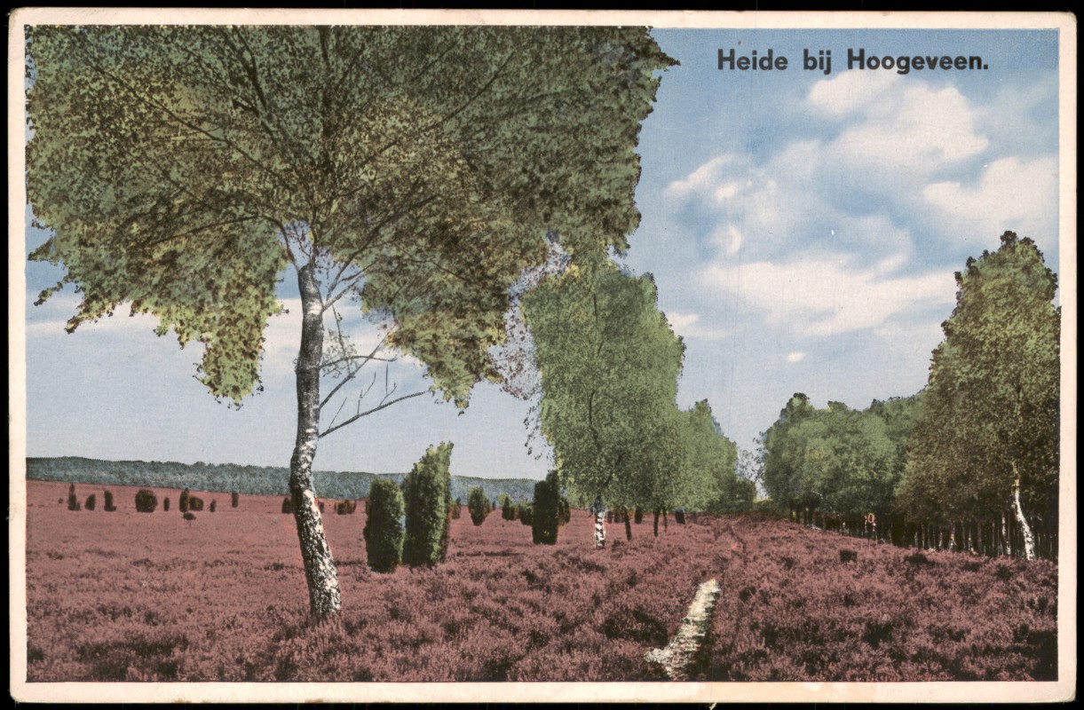 zoom: Image side vintage Postcard from 1908: Heide bei Hoogeveen:: Hoogeveen