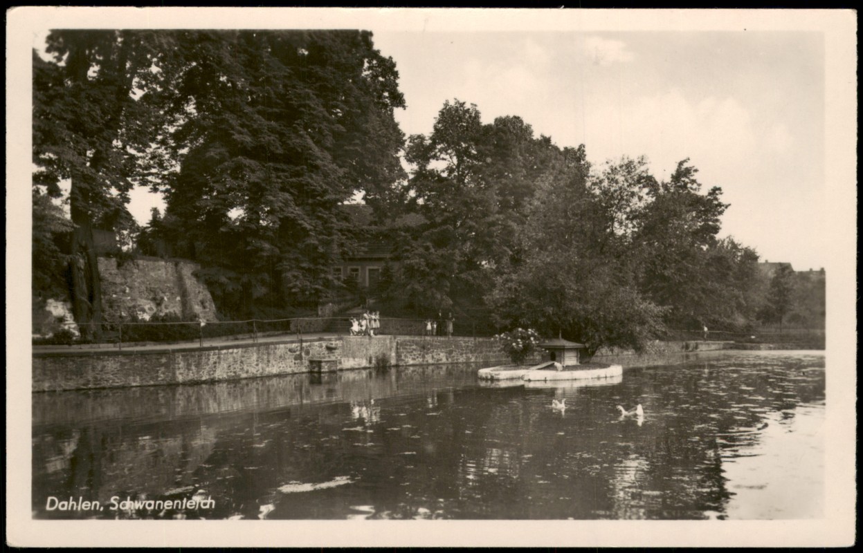 zoom: Image side vintage Postcard from 1954: Schwanenteich Partie zur DDR-Zeit:: Dahlen