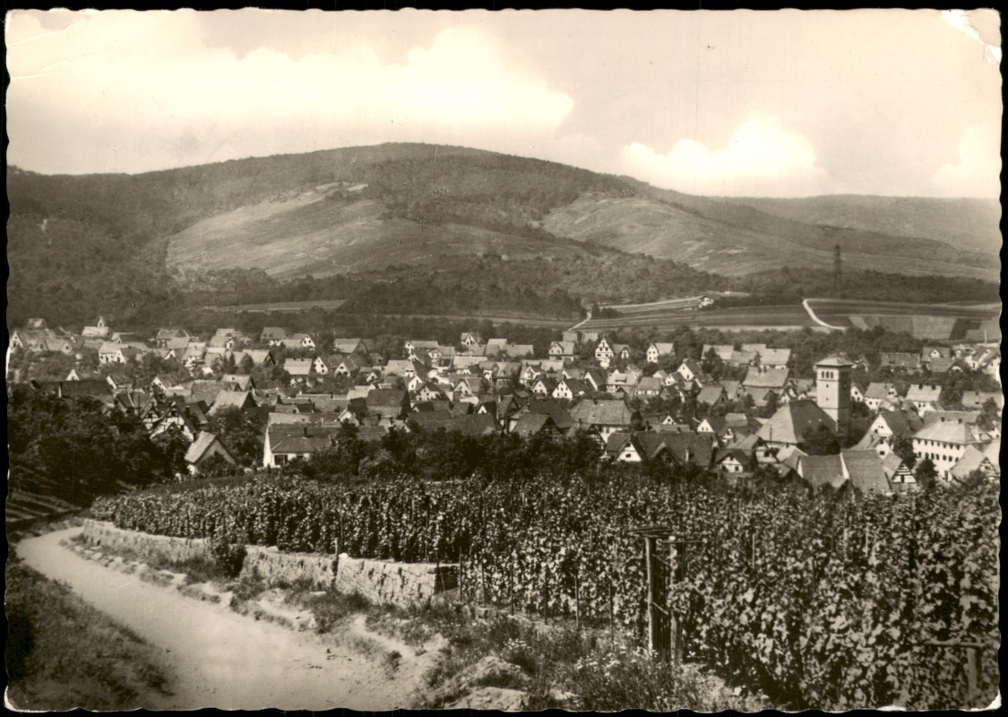 zoom: Image side vintage Postcard from 1959: Panorama-Ansicht:: Lohrhaupten