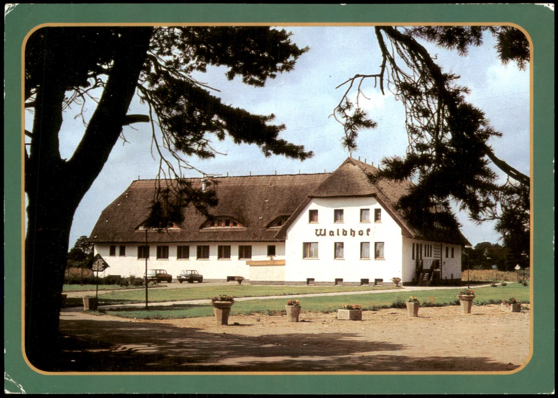 vergrößern: Bildseite historische Ansichtskarte von 1990: Waldhof zur DDR-Zeit:: Trassenheide