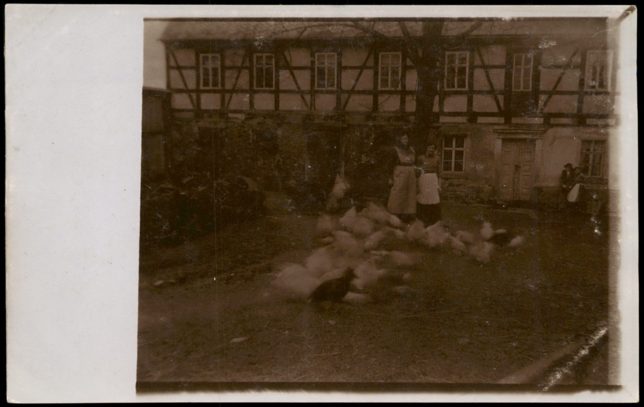 zoom: Image side vintage Postcard from 1910: Fotokunst Menschen Soziales Leben auf dem Land, Personen Tiere Bauernhof::