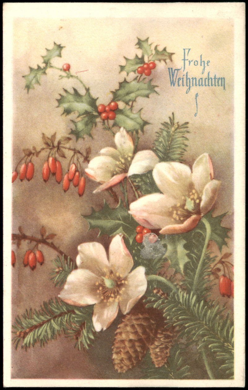 zoom: Image side vintage Postcard from 1940: Frohe Weihnachten: Christrosen, Stechpalme und Berberitze::