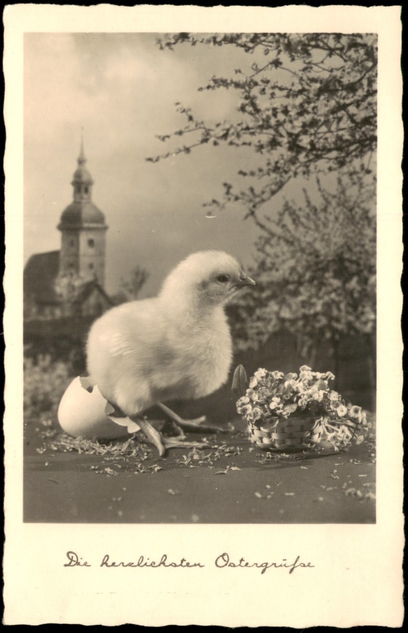 zoom: Image side vintage Postcard from 1930: Osterkarte mit frisch geschlüpftem Küken und Blumenkorb::