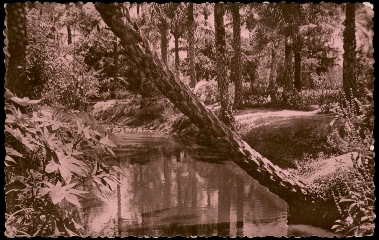 zoom: Image side vintage Postcard from 1966: Africa Afrika allgemein Paysage Africain::