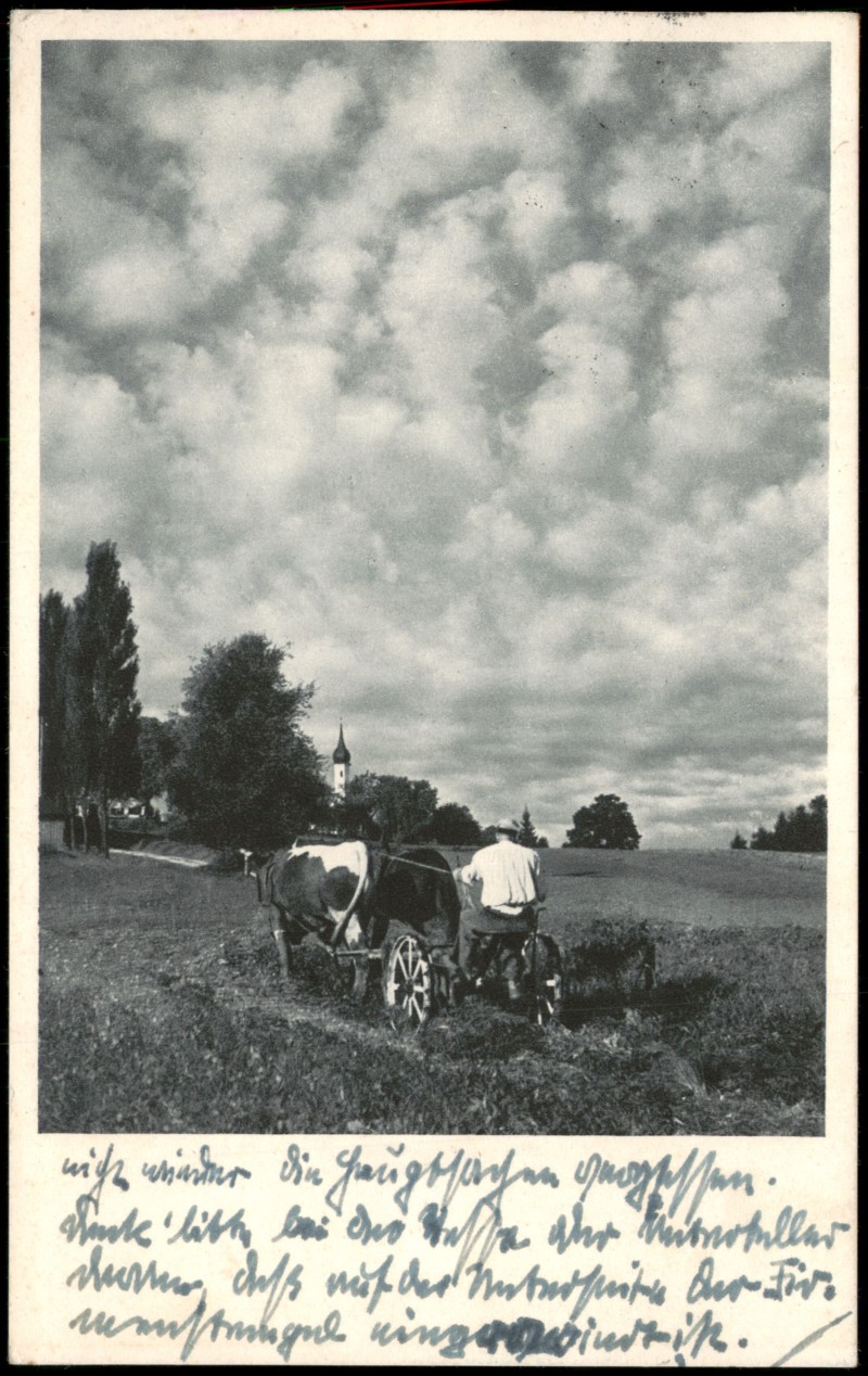 vergrößern: Bildseite historische Ansichtskarte von 1939: Bauer mit Pferdegespann bei der Feldarbeit::