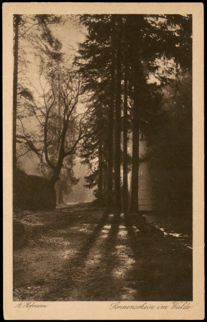 zoom: Image side vintage Postcard from 1915: Sonnenschein im Walde::