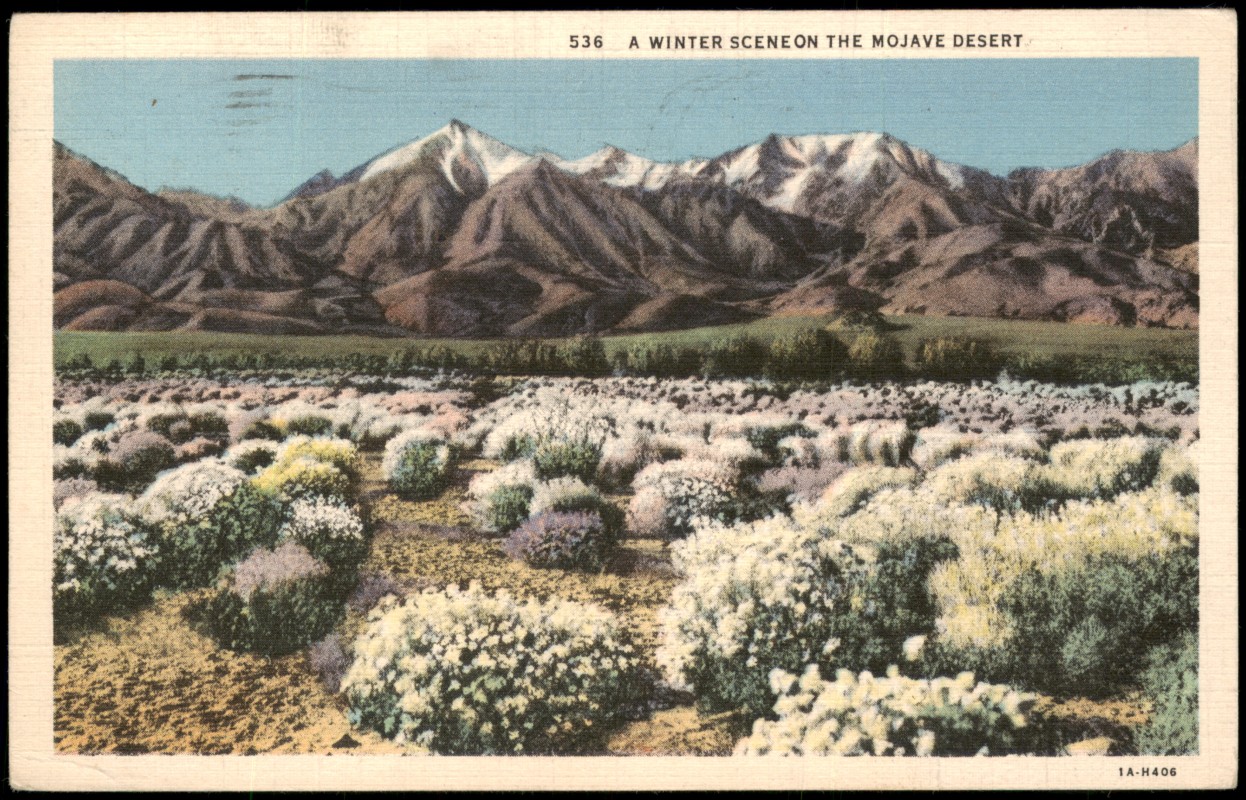 vergrößern: Bildseite historische Ansichtskarte von 1935: Winterliche Mojave-Wüste mit schneebedeckten Bergen:: Mojave-Wüste