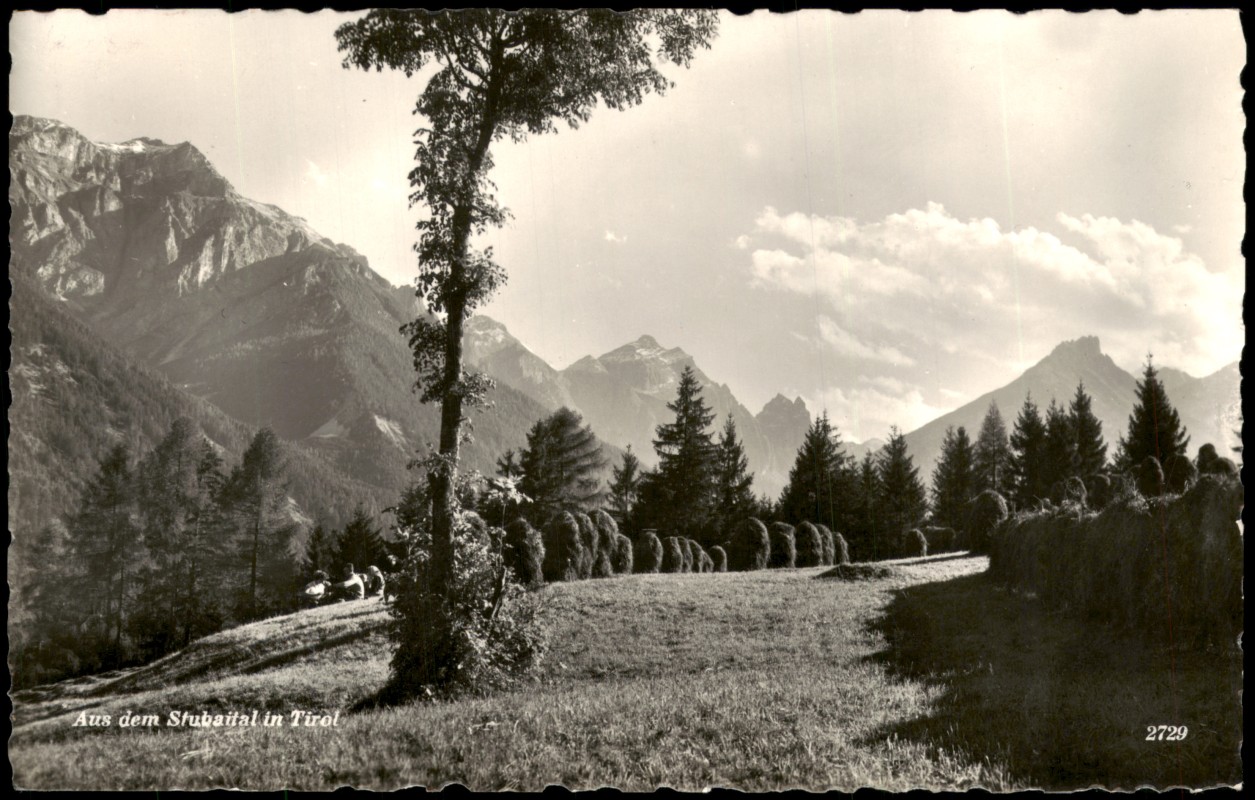 vergrößern: Bildseite historische Ansichtskarte von 1958: Alpenlandschaft mit Heuhocken und Bergblick Stubaital:: .Tirol