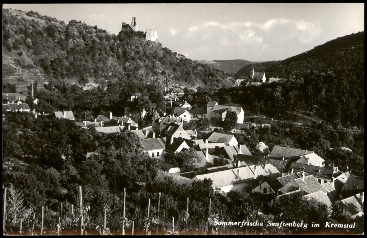 vergrößern: Bildseite historische Ansichtskarte von 1951: Ortsansicht mit Burgruine, Senftenberg im Kremstal:: Senftenberg