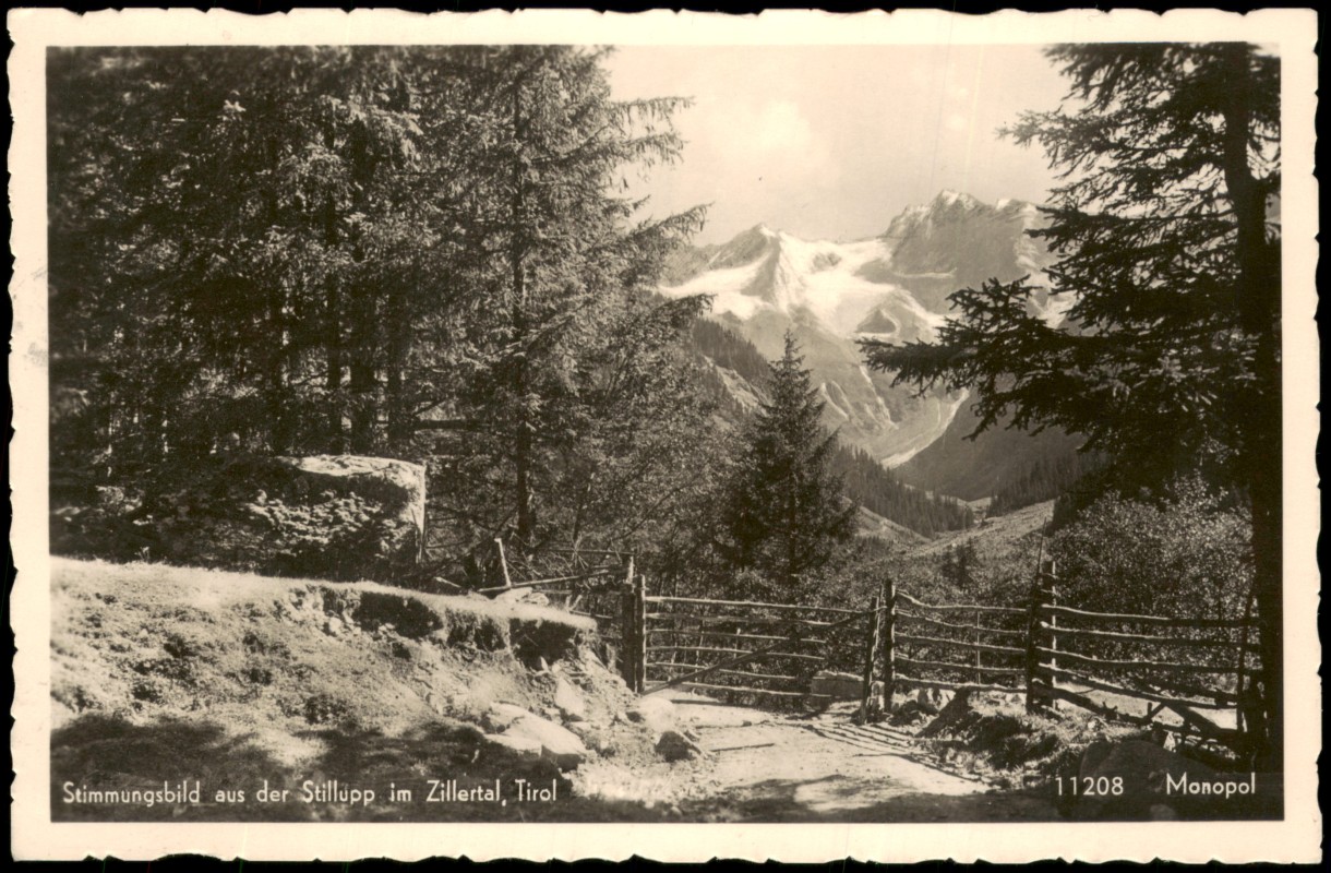 zoom: Image side vintage Postcard from 1955: Blick in das Stillupptal im Zillertal:: Mayrhofen