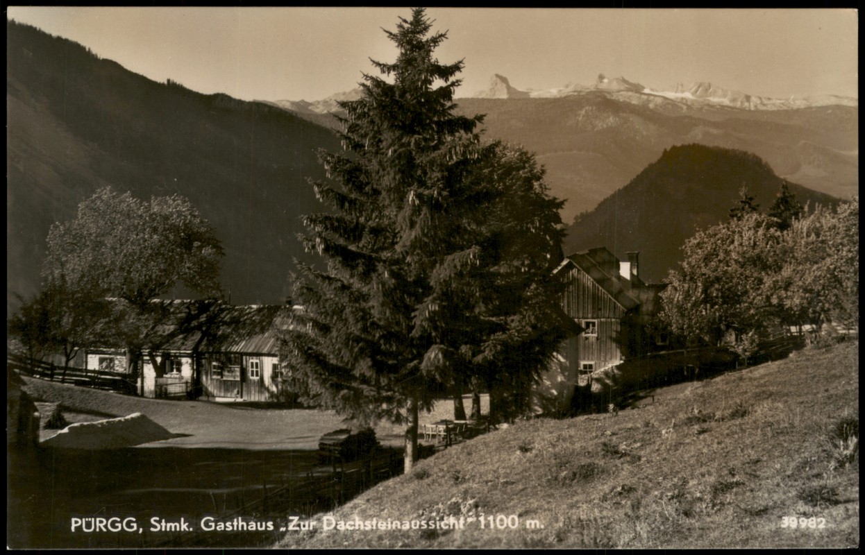 vergrößern: Bildseite historische Ansichtskarte von 1950: PÜRGG Gasthaus Zur Dachsteinaussicht:: Stainach-Pürgg