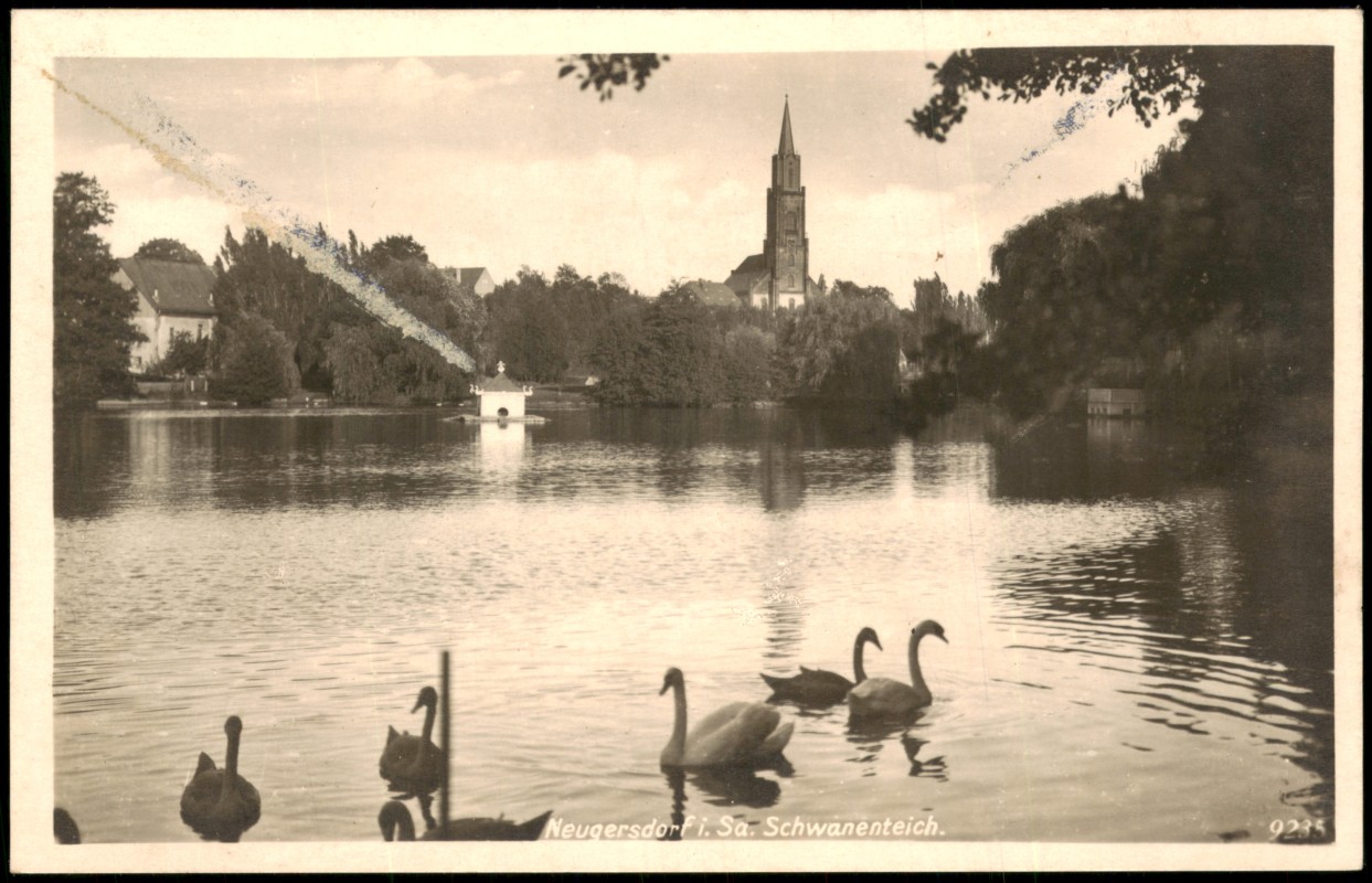 zoom: Image side vintage Postcard from 1935: Schwanenteich mit Schwänen und Blick auf die Kirche:: Neugersdorf