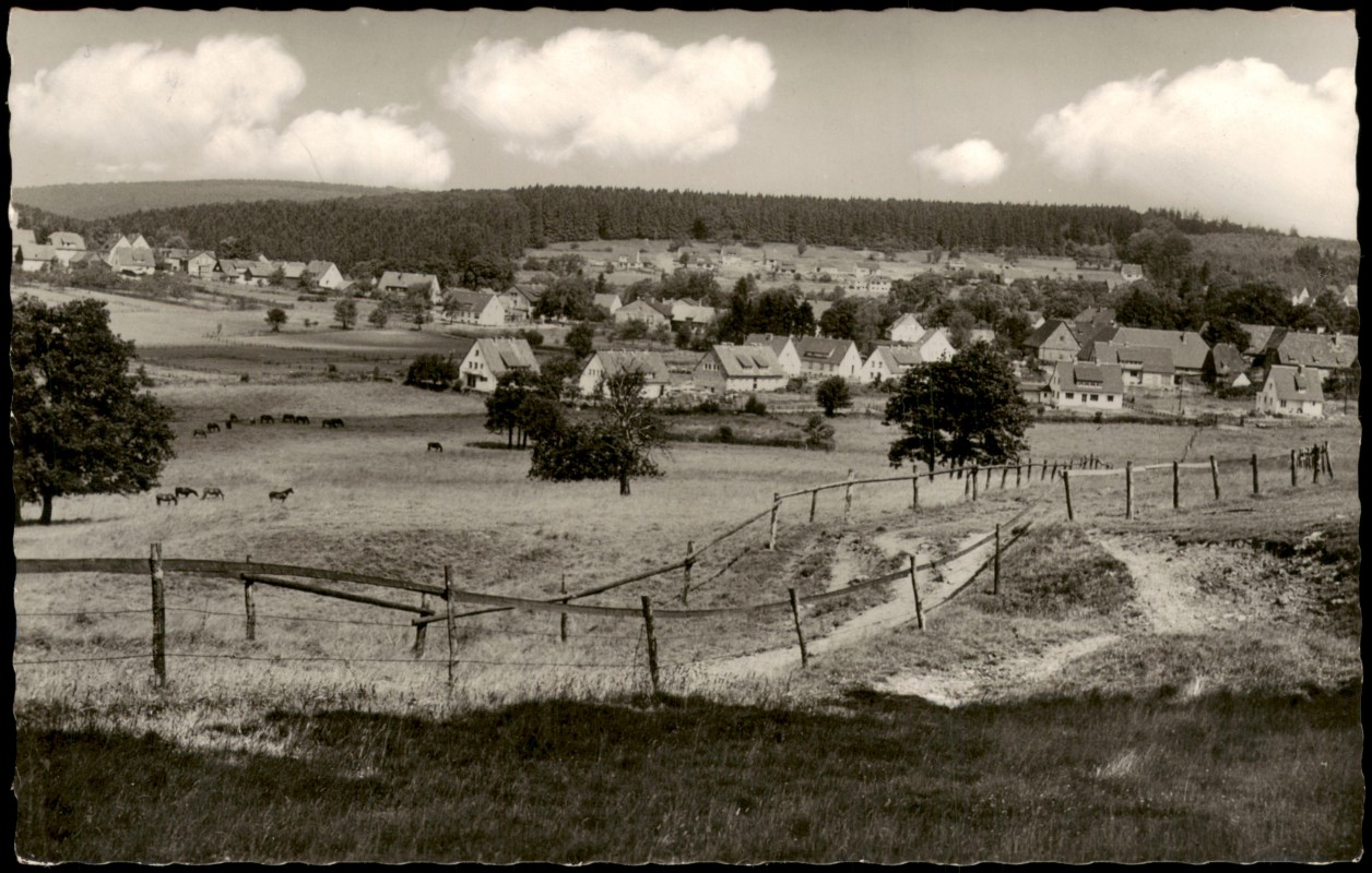 vergrößern: Bildseite historische Ansichtskarte von 1959: Panorama-Ansicht Blick über die Wiesen:: Neuhaus im Solling-Holzminden